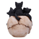 Cranial Litter Skull 14cm Resin Statue 4