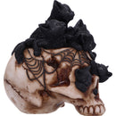 Cranial Litter Skull 14cm Resin Statue 5