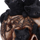 Cranial Litter Skull 14cm Resin Statue 6