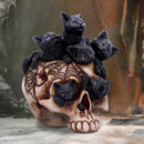 Cranial Litter Skull 14cm Resin Statue 7