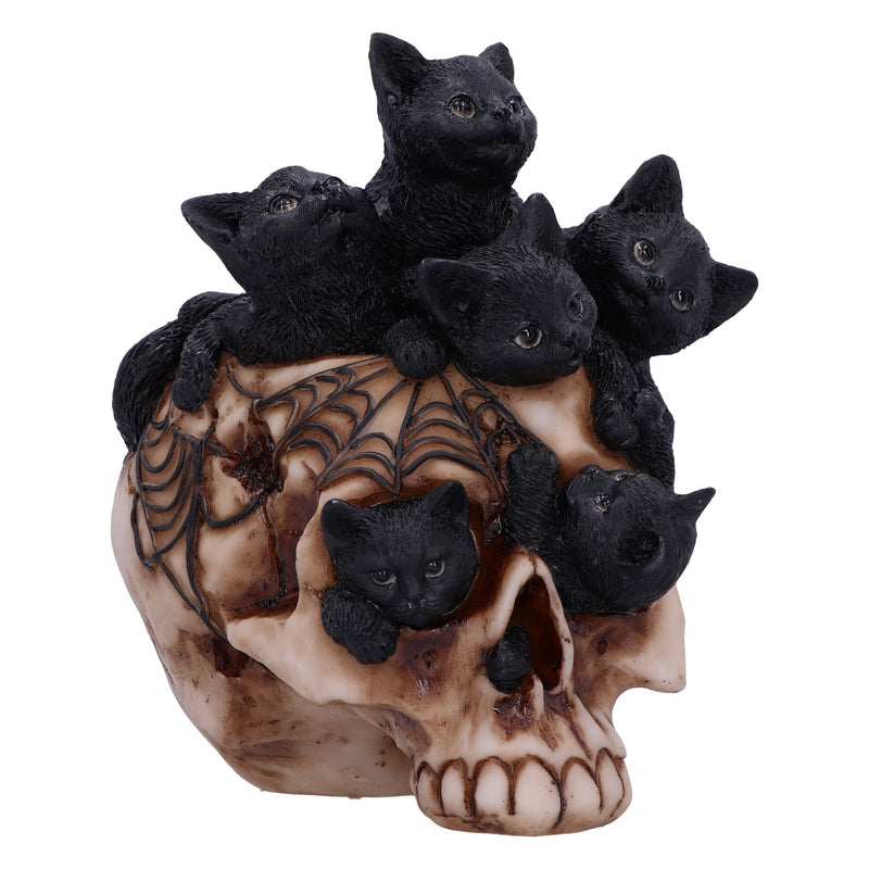 Cranial Litter Skull 14cm