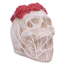 The Veil Skull Large 14.7cm