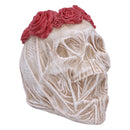 The Veil Skull Small 11.5cm
