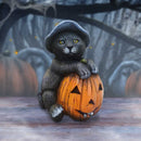 Trick or Treat Cat with Pumpkin Figurine 13cm Resin Statue for Halloween 7