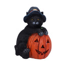 Trick or Treat Cat with Pumpkin Figurine 13cm