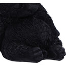 Daydream Sleeping Black Cat Figurine 13cm 6