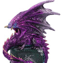 Dragon Fable Purple on Book Figurine 24cm 5