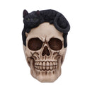 Forever Friend Black Cat Skull Head 14.5cm 2