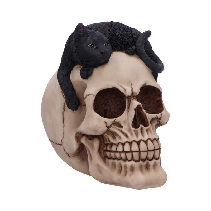 Forever Friend Black Cat Skull Head 145cm