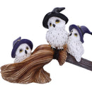 Feathered Owls on Broomstick Figurine 26cm 5