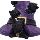 Magical Mischief Witch Hat and Black Cats Figurine 14cm 6