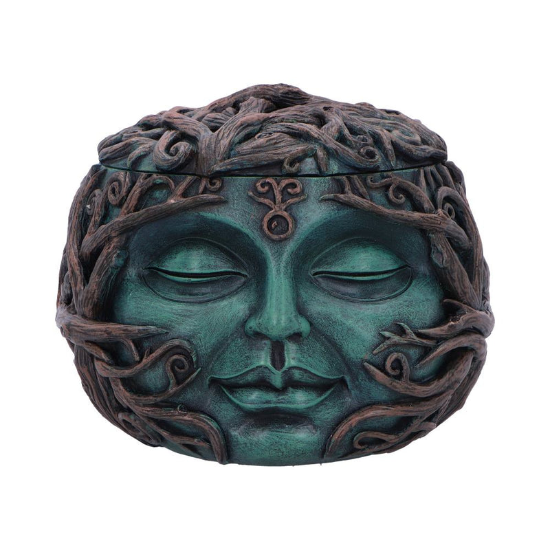 Tree Spirit Head Treasure Box 13cm