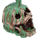 Fatal Elixer Skull Ornament Elixir 19.2cm 5