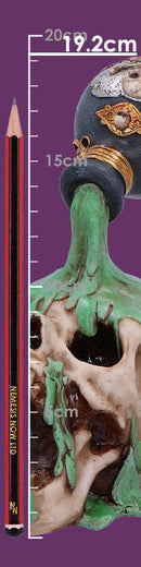 Fatal Elixer Skull Ornament Elixir 19.2cm 8