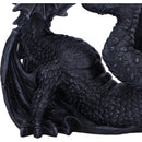 Black Drakaina and Dragonling Figurine 22cm 6