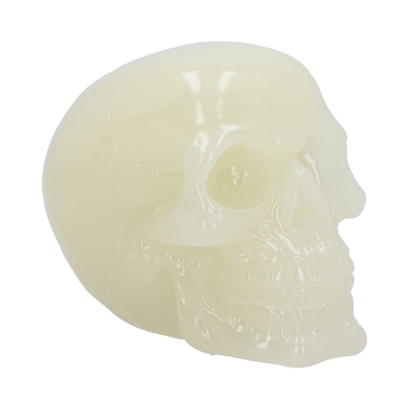 Phosphorescent Glow in the Dark Skull Medium 13cm