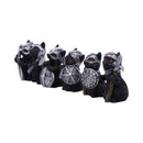 Cat Crusaders Set of 6 Fierce Warrior Figurines with Unique Poses 5.5cm 2
