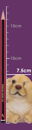 Three Wise Golden Labradors Figurines Set of Three 7.5cm 8