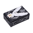 Owl Messenger Trinket Box 14cm 2