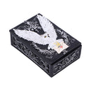Owl Messenger Trinket Box 14cm 4