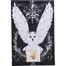 Owl Messenger Trinket Box 14cm 5