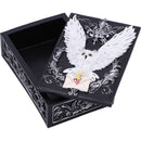 Owl Messenger Trinket Box 14cm 6