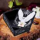 Owl Messenger Trinket Box 14cm 7