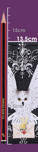 Owl Messenger Trinket Box 14cm 8