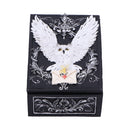 Owl Messenger Trinket Box 14cm