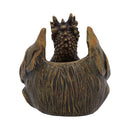 Wyvern Clutch Dragon Trinket Holder 10cm 3