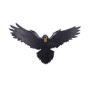 Flight of the Raven Wall Hanging Decoration 35cm 3