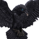 Flight of the Raven Wall Hanging Decoration 35cm 5