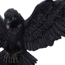 Flight of the Raven Wall Hanging Decoration 35cm 6