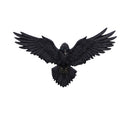 Flight of the Raven Wall Hanging Decoration 35cm