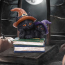 Duo Divination Witches Cat Figurine 10cm 7
