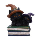Duo Divination Witches Cat Figurine 10cm