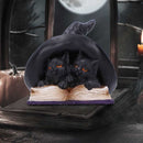 Potion Pair Witches Cat Figurine 10.5cm 7