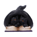 Potion Pair Witches Cat Figurine 10.5cm