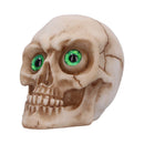 Eyes Wide Open Green Decorative Resin Skull 7cm 3