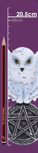 Owl Talisman Hanging Decoration 20.5cm 8