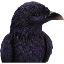 Raven Roost Backflow Incense Burner 17cm 5