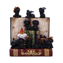 Coven Keepers Display Stand with 36 Pieces 1