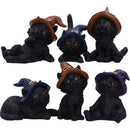 Coven Keepers Replacement Cats Twelve Pieces 6cm 5