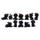 Coven Keepers Replacement Cats Twelve Pieces 6cm 1