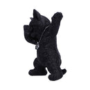 Hex and Flex Humorous Gothic Black Cat Figurine 13.5cm 2