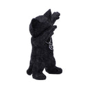Hex and Flex Humorous Gothic Black Cat Figurine 13.5cm 4