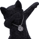 Hex and Flex Humorous Gothic Black Cat Figurine 13.5cm 5