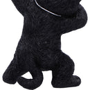Hex and Flex Humorous Gothic Black Cat Figurine 13.5cm 6