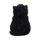 Whisker Wish Black Cat Figurine 8.5cm 3
