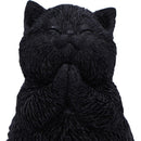 Whisker Wish Black Cat Figurine 8.5cm 5